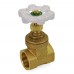 1" Threaded Gate Valve (Lead-Free)