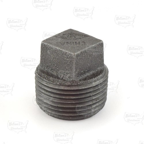 1" Black Plug (Imported)