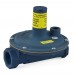 1" Gas Appliance & Line Pressure Regulator w/ Imblue Coating (325-5L series)