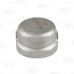 1" 304 Stainless Steel Cap, FNPT threaded