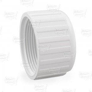 2-1/2" PVC (Sch. 40) FIP Cap