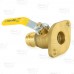 1" Press Flange Isolator Valve with Additional T-Handle LF