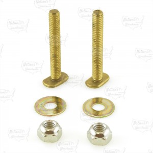 5/16" x 2-1/4" Long Solid Brass Closet Bolts Kit