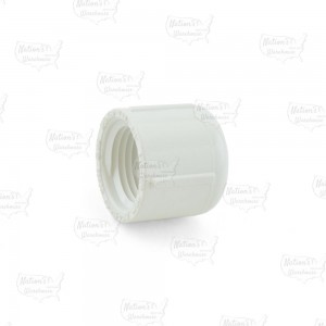 1/2" PVC (Sch. 40) FIP Cap