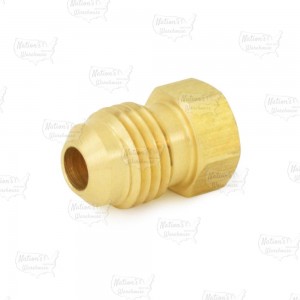 1/4" Flare Brass Plug