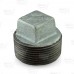 1-1/4" Galvanized Plug