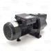 Shallow Well Jet Pump w/ Pressure Switch, 1/2HP, 115/230V, Cast Iron