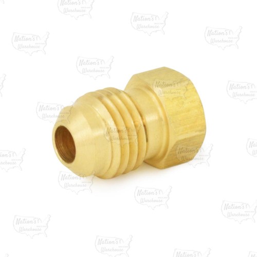 1/4" Flare Brass Plug