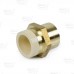 3/4" CPVC x 3/4" FIP (Female Threaded) Brass Adapter, Lead-Free