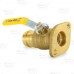 1-1/4" Press Flange Isolator Valve with Additional T-Handle LF