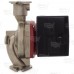 UPS43-100SF 3-Speed Stainless Steel Circulator Pump, 208-230V